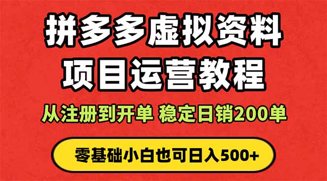 拼多多开店运营课程： 蓝海变现玩法，轻松实现睡后收入 零基础小白也可…-蓝海云网创