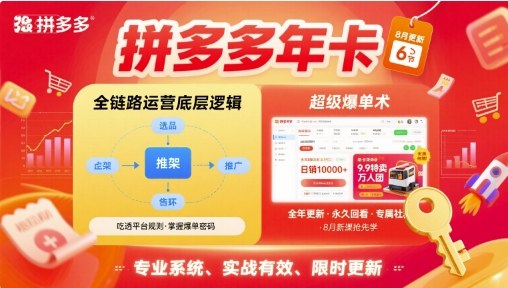 拼多多年卡，拼多多全链路运营底层逻辑，超级爆单术【更新10月】-蓝海云网创