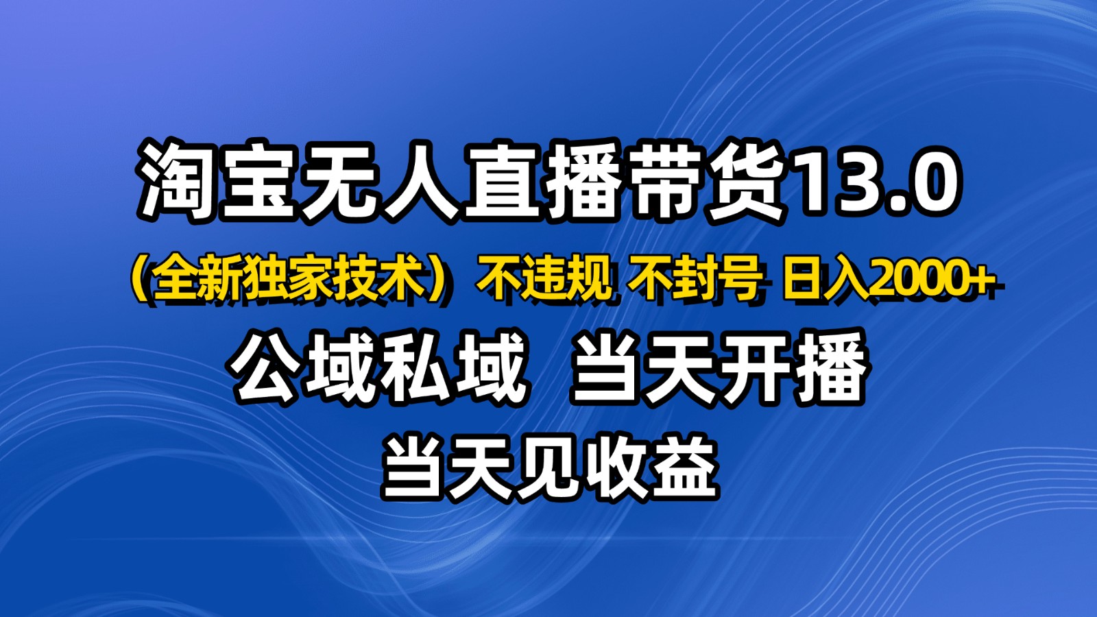 淘宝无人直播13.0，公域私域技术，不封号，不违规 布局下半年旺季赛道，日入2000+-蓝海云网创