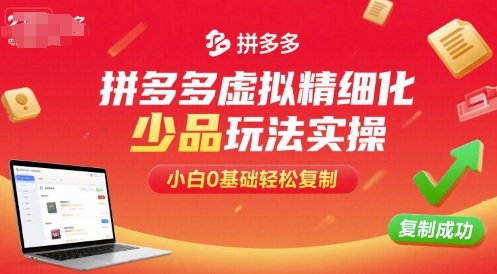 拼多多虚拟精细化少品玩法实操，小白0基础轻松复制-蓝海云网创