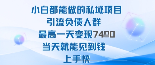 2025年小白都能做的私域项目引流负债人群最高一天变现1k+高变现难度低当天就能见到钱上手快-蓝海云网创