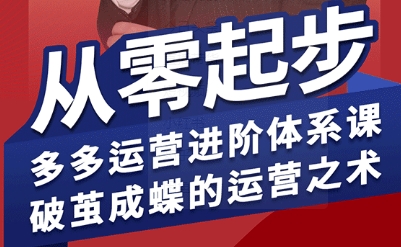 拼多多运营进阶系统课，从零起步，多多运营进阶体系课，破茧成蝶的运营之术(更新9月)-蓝海云网创