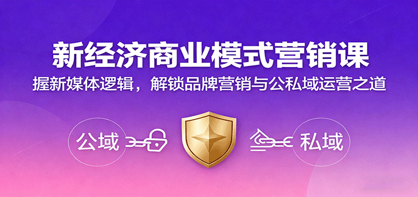 新经济商业模式营销课，握新媒体逻辑，解锁品牌营销与公私域运营之道-蓝海云网创