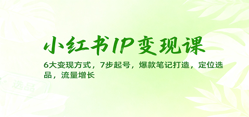 小红书IP变现课：6大变现方式，7步起号，爆款笔记打造，定位选品，流量增长-蓝海云网创