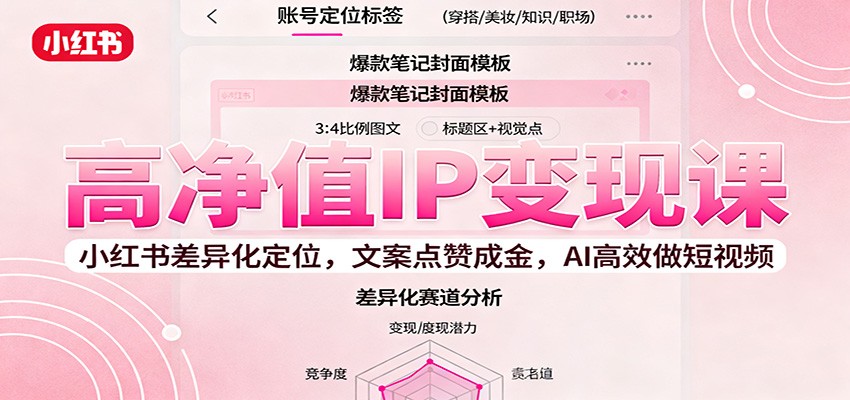 高净值IP变现课：小红书差异化定位，文案点赞成金， AI高效做短视频-蓝海云网创
