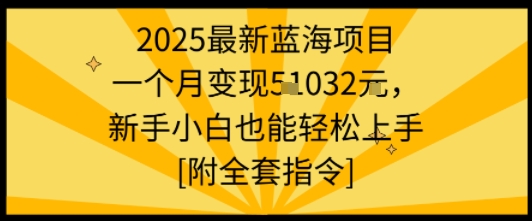 2025最新蓝海项目一个月变现1w+新手小白也能轻松上手【附全套指令】-蓝海云网创