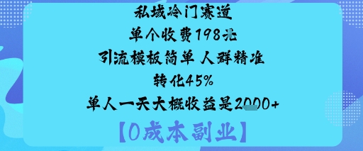 私域冷门赛道:单个收费198米引流模板简单人群精准转化45%单人一天大概收益是1k+-蓝海云网创