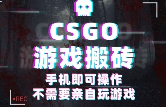 CSGO游戏挂G捡漏，单日扫货5张+，年底小高峰上车可吃肉，手机即可操作，兼职副业创业网创【揭秘】-蓝海云网创