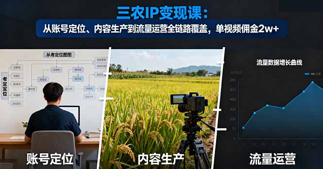 三农IP变现课：从账号定位、内容生产到流量运营全链路覆盖，单视频佣金2w+-蓝海云网创