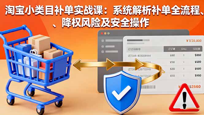淘宝小类目补单实战课：系统解析补单全流程、降权风险及安全操作-蓝海云网创