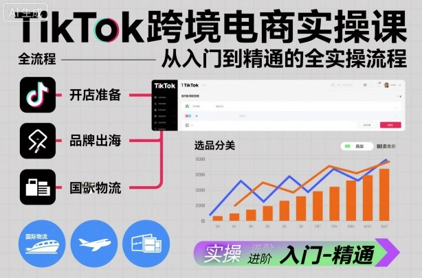 TikTok跨境电商实操课，从入门到精通的全实操流程-蓝海云网创
