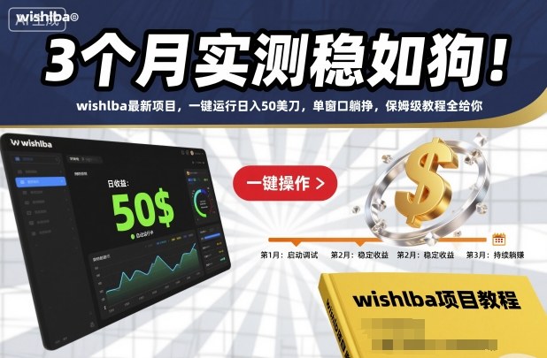 3个月实测稳如狗！wishlba最新项目，一键运行日入50美刀，单窗口躺挣，保姆级教程全给你【揭秘】-蓝海云网创