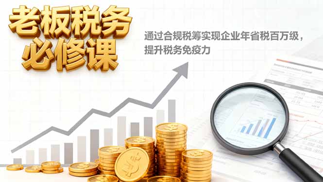 老板税务必修课，通过合规税筹实现企业年省税百万级，提升税务免疫力-蓝海云网创