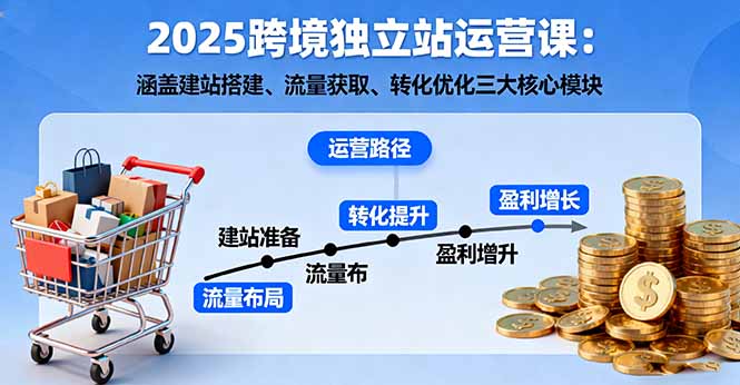 2025跨境独立站运营课：涵盖建站搭建、流量获取、转化优化三大核心模块-蓝海云网创