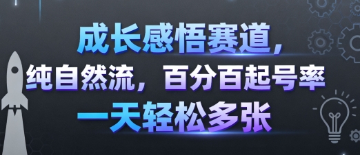 成长感悟赛道，纯自然流，百分百起号率 一天轻松多张-蓝海云网创