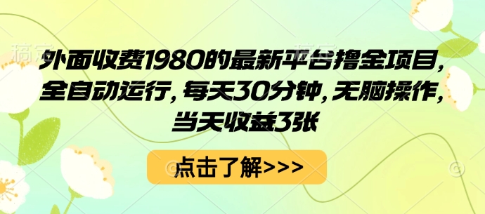 外面收费1980的最新平台撸金项目,全自动运行,每天30分钟,无脑操作,当天收益3张【揭秘】-蓝海云网创