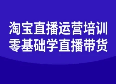 淘宝直播运营培训-零基础学会直播卖货-蓝海云网创