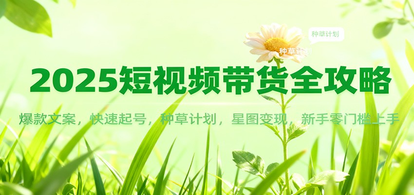 2025短视频带货全攻略:爆款文案,快速起号,种草计划,星图变现,新手零门槛上手-蓝海云网创