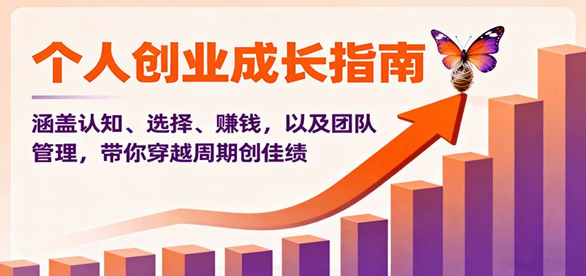 个人创业成长指南：涵盖认知、选择、赚钱，以及团队管理，带你穿越周期创佳绩-蓝海云网创