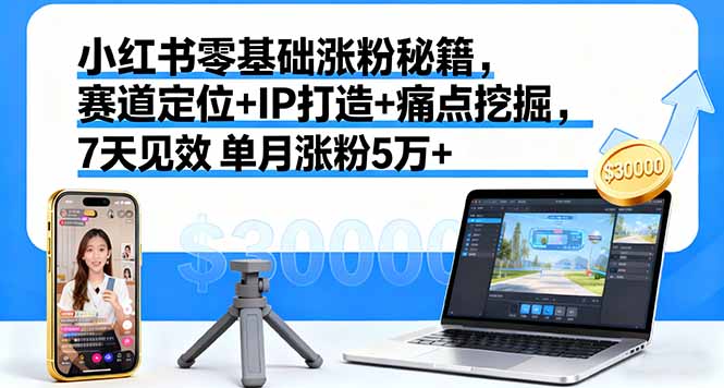 小红书零基础涨粉秘籍，赛道定位+IP打造+痛点挖掘，7天见效 单月涨粉5万+-蓝海云网创