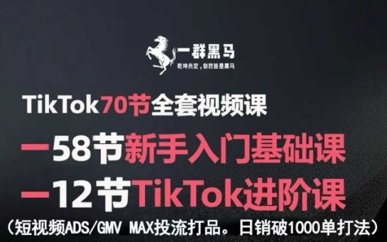 TikTok全套视频课，新手入门+进阶课，短视频ADS-GMV MAX投流打品，日销破1000单打法-蓝海云网创