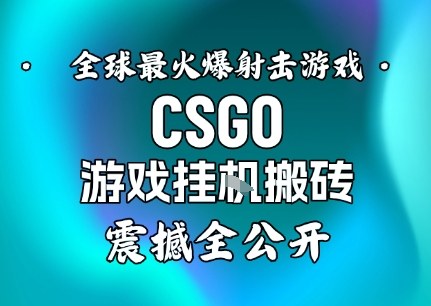 【年底大揭秘】基于全球最火爆的射击CSGO游戏挂G搬砖，日入5张+，震撼公开-蓝海云网创