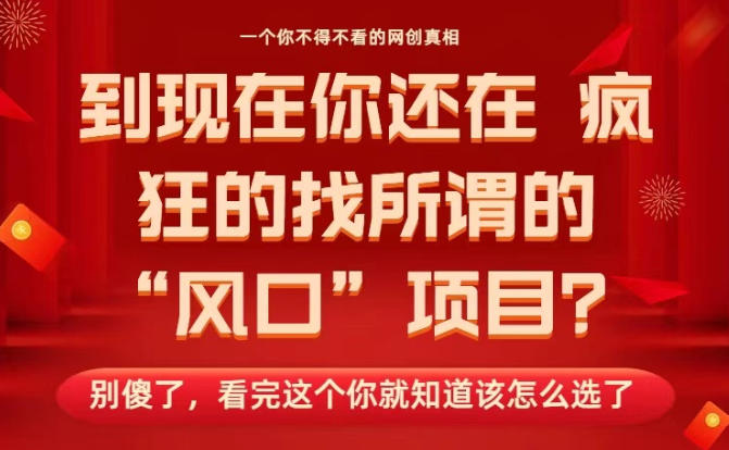 马上26年了,你还在找所谓的风口项目?别傻了,看完这个你全都懂了!【揭秘】-蓝海云网创